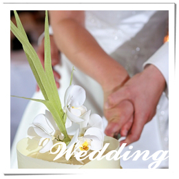 どんな結婚式を